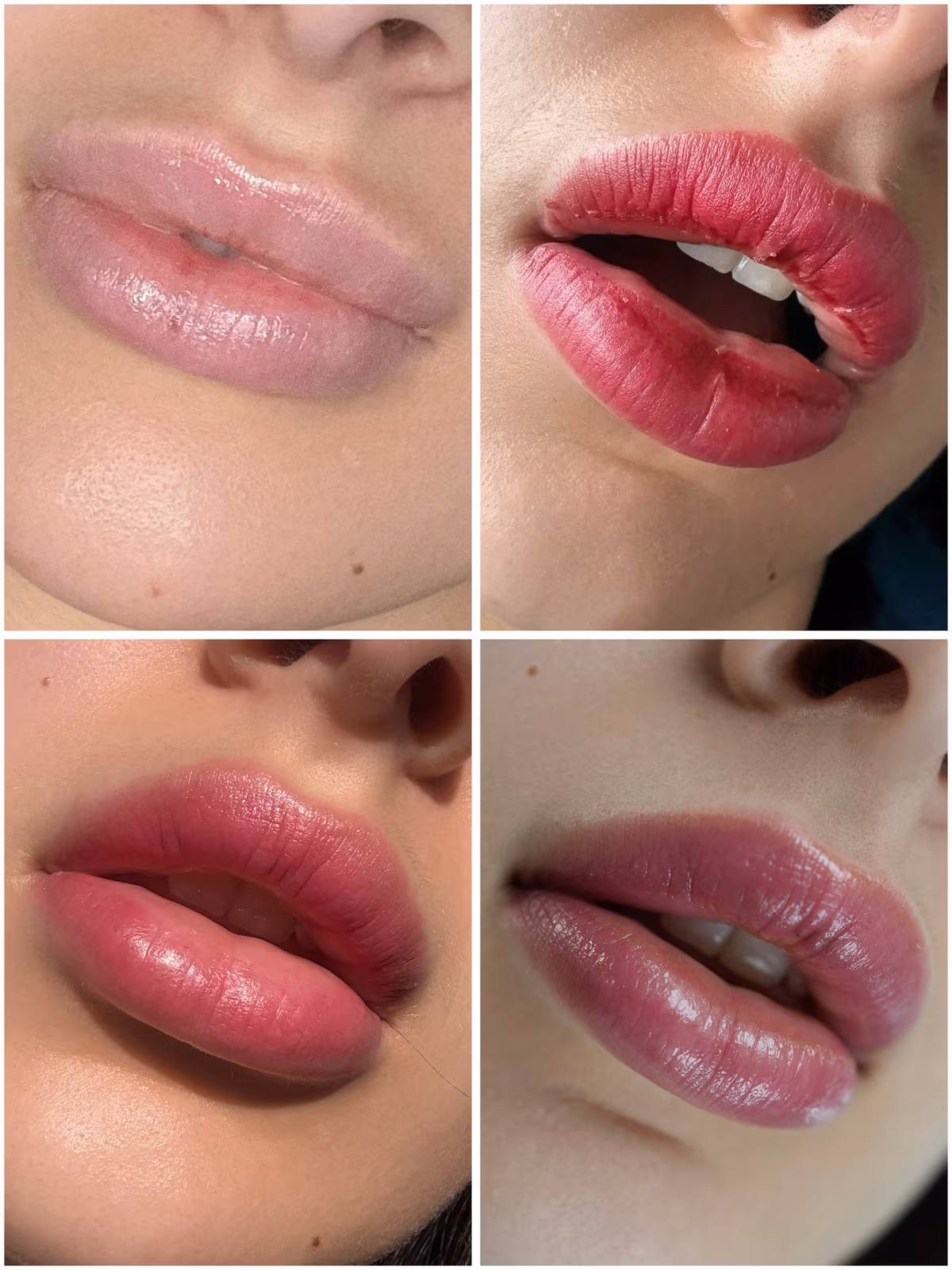Four-photo collage showing lip blush healing stages, from fresh, bright color to the soft, fully healed tint