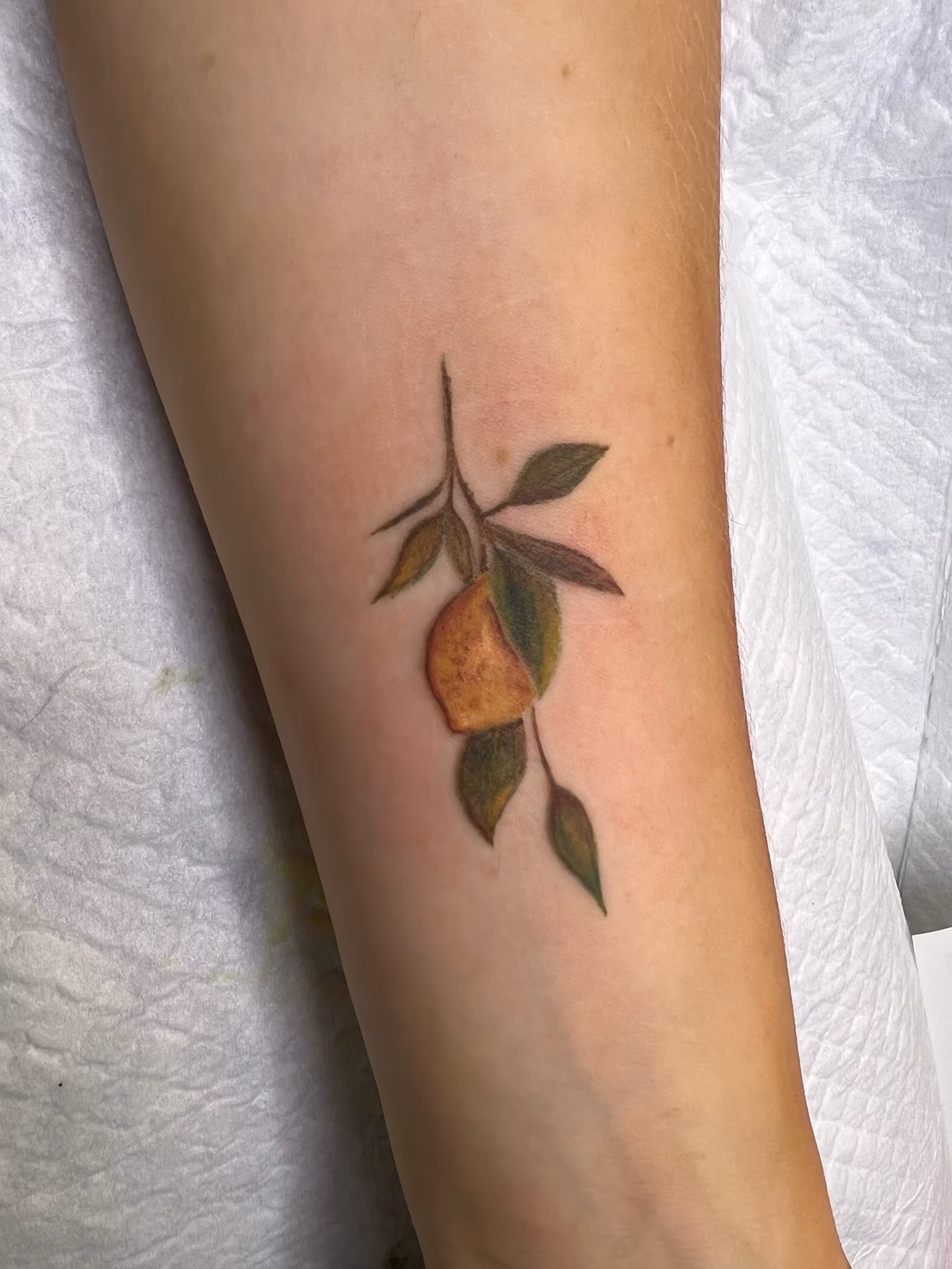 Fine-line tattoo by Daria Lamt at Calypso Beauty, Kirkland